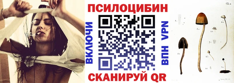 Галлюциногенные грибы MAGIC MUSHROOMS  KRAKEN как зайти  Вяземский 